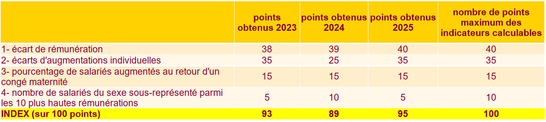 tableau index de légalité professionnelle 2025