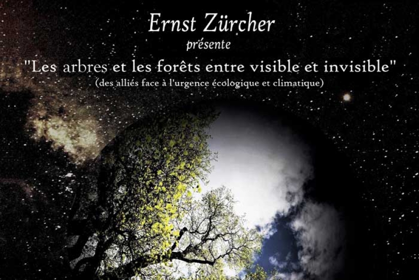 Conférence Ernst ZÜRCHER : Les arbres entre visible et invisible – un modèle pour le futur